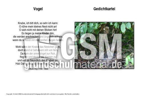 Vogel-Hey.pdf